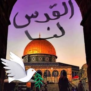 Meet your Posher, Montaha